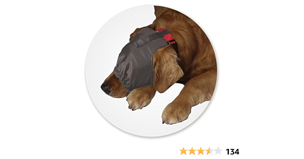 dog thunder cap