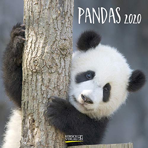 Télécharger Pandas 2020 Gratuit