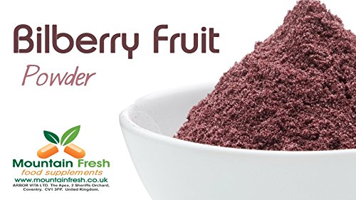 Preisvergleich Produktbild Heidelbeere Frucht Pulver - Reine getrocknete Beeren 100g