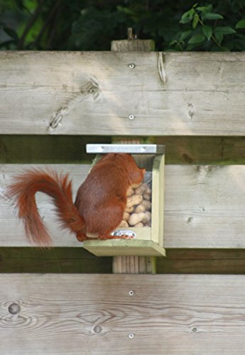 Eichhörnchen Futterhaus - 5