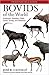 Produktbild [(Bovids of the World : Antelopes, Gazelles, Cattle, Goats, Sheep, and Relatives)] [By (author) Jose R. Castello ] published on (April, 2016)