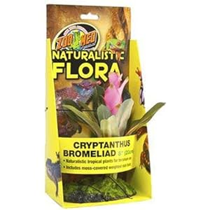 Zoo Med BU-44 Cryptonhius 20 cm Kunststoffpflanze zur Dekoration im Terrarium