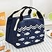 Produktbild HAHAJY Tragbare Isolierte Lunchbox Tote Picknick Aufbewahrungstasche Beutel Lunchbeutel, Karton Fischmarine