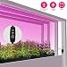 Produktbild 3Pcs Flexible Pflanzen wachsen Lampe streift rotes blaues Licht 4: 1