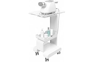 MEHOOSPVN Beauty Salon Trolley Cart Stand Rolling Cart with 4 wheels, White SPA Beauty Machine Holder Trolley 2 Tier Mobile Car Rack Storage Tray for Salons, Spas, Barber Shops