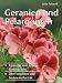 Produktbild Geranien und Pelargonien - Tipps für eine üppige Blütenpracht, über 100 Arten und Sorten im Porträt