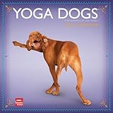 Yoga Dogs 2013 - Joga-Hunde - Original BrownTrout-Kalender by Dan Borris