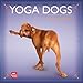 Yoga Dogs 2013 - Joga-Hunde - Original BrownTrout-Kalender by Dan Borris