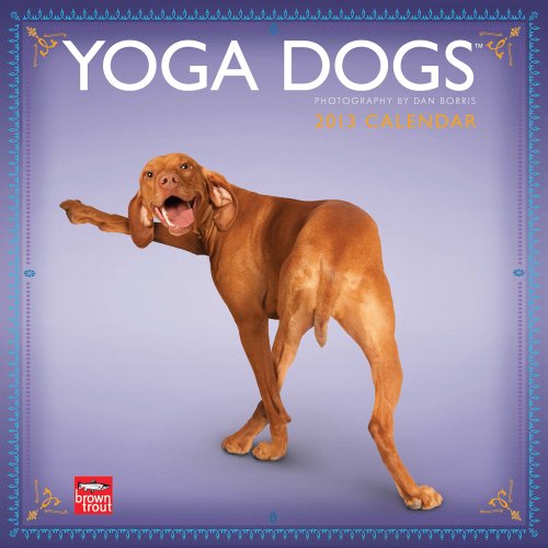 Yoga Dogs 2013 - Joga-Hunde - Original BrownTrout-Kalender