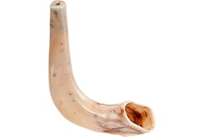 Rite Lite Kunststoff-Schofar-Horn, Rosh Hashanah, jüdisches Neujahrsfeiertagsgeschenk, Shana Tova, Geschenk für Jom Kippur, jüdisches Musikinstrument für die Kleinen