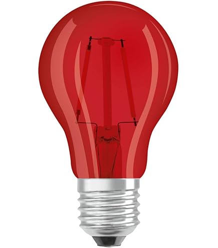 Lot De 10 Ampoules LED Colorées E27 G45 2 W Avec Culot à Vis Pour Intérieur Et Extérieur