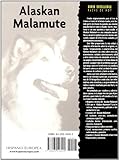 Image de Alaskan Malamute