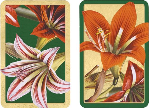 Preisvergleich Produktbild Spielkarten "Amaryllis" - Caspari