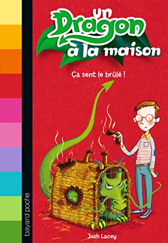 couverture de : &Ccedil;a sent le br&ucirc;l&eacute; !