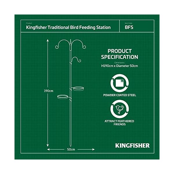 Kingfisher Mangiatoia per Uccelli