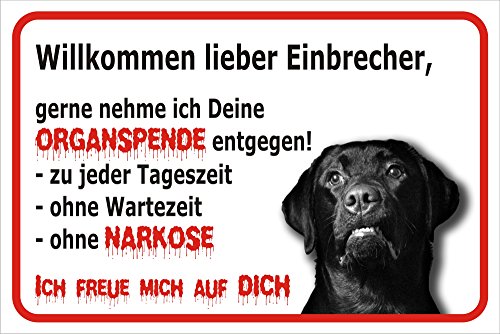 Schild Vorsicht Labrador - Willkommen lieber Einbrecher (20x30cm)