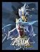 Produktbild Pyramid International The Legend of Zelda: Breath of The Wild (Divine Beast VAH medoh) Gerahmter Kunstdruck Kuriositäten, Mehrfarbig, 30 x 40 x 1,3 cm