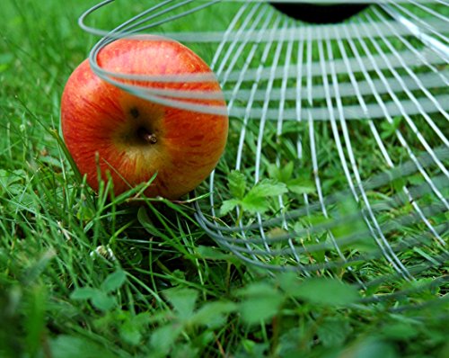 Rollsammler: Original YERD Roll-In Large Apfelsammler - 2