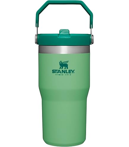Stanley IceFlow - Borraccia con cannuccia a scatto con manico, 590 ml, coperchio avvitabile e cannuccia ribaltabile, resistente alle perdite, in acciaio inox isolante, senza BPA, cenere