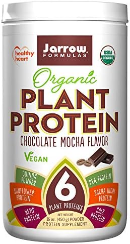 Jarrow Organic Plant Protein Chocolate Mocha Flavour | 450g 14 Servings | Vegan Supplement Made from 6 Different Plant Sources
