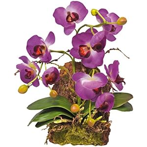 Lucky Reptile IF-17 Hängeorchidee Kunststoffpflanze / Plastikpflanze zum hängen, lila