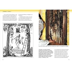 Guide de l'abeille. L'homme et l'abeille, biologie de l'abeille, apiculture et miel Livre en Ligne Guide de l'abeille. L'homme et l'abeille, biologie de l'abeille, apiculture et miel Livre en Ligne - Telecharger Ebook