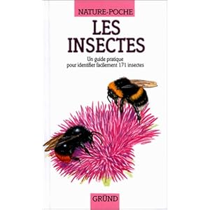 Les Insectes Livre en Ligne - Telecharger Ebook