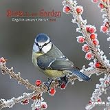 Birds in our Garden 2016: Kalender 2016 (What a Wonderful World) by 