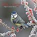 Birds in our Garden 2016: Kalender 2016 (What a Wonderful World) by 