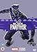 Black Panther [DVD] [2018]