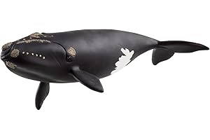 Schleich Wild Life - Large, 19cm Right Whale Toy Figurine. Realistic Hand-Painted Hard Animal Toys for Boys and Girls. Durable, Educational Figure for Imaginative Play. Kids and Toddlers Ages 3+ 14878