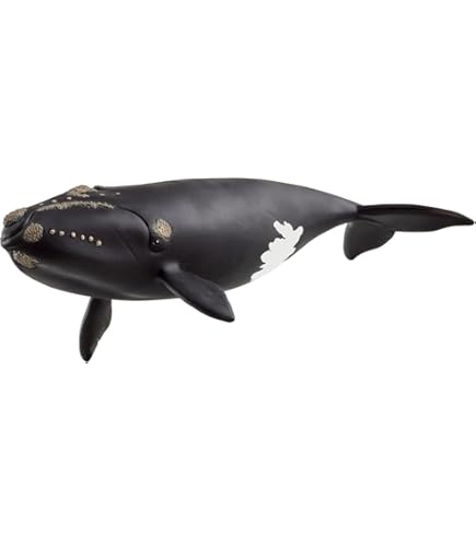 シュライヒ Schleich ザトウクジラ Humpback Whale シュライヒ Schleich ザトウクジラ Humpback Whale Figure