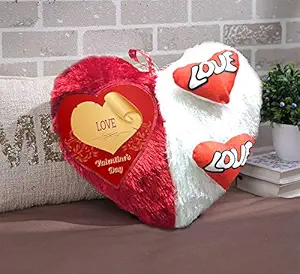 DreamVio Love Heart Shape Valentine Day Gift Fur Cushion,Plush Pillow for Gifting on Birthdays,Anniversaries Color - Red, White (Size- 17x17 inch) Shape 12