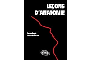 Leçons d'anatomie