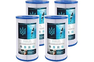 Alford & Lynch Replacement Filter for Type A or C, Compatible with Intex 29000E/59900E, Easy Set Pool Filters, Summer Escapes or Summer Waves Above Ground Pools (4)