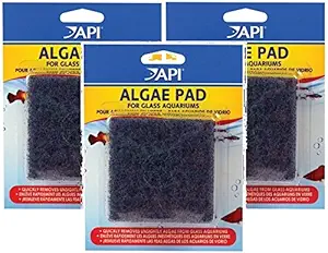 (3 Pack) API Hand Held Algae Pad - Glass