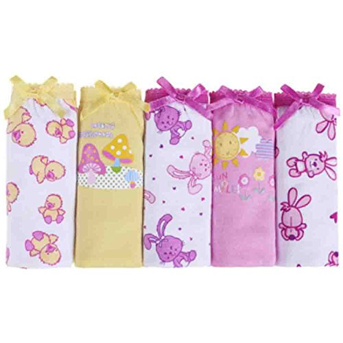 Set of 5 Cartoon Underwears Cute Cotton Underwears With Lace For Girls(6-7Y)