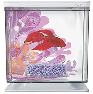 Hagen Marina Betta Kit - Flower