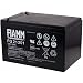 Produktbild Fiamm Ersatzakku für Rollstühle Elektro-Scooter Elektrofahrzeuge 12V 12Ah, 12V, Lead-Acid