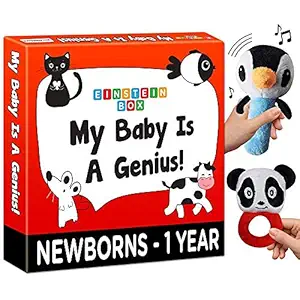 Einstein Box Gift Set for Babies, Newborns and Infants of Age 1-3-6-9-12 Months | High Contrast Gift Set with Set of Rattles+ High Contrast Books+ High Contrast Flashcards| for Baby Boys & Girls