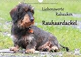 Liebenswerte Rabauken Rauhaardackel (Wandkalender 2014 DIN A4 quer): Rauhaardackel sind einfach liebenswerte Rabauken (Monatskalender, 14 Seiten) by 