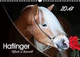 Haflinger-Pferde in Reinzucht (Wandkalender 2017 DIN A3 quer): Pferde aus purem Gold... (Monatskalender, 14 Seiten ) (CALVENDO Tiere) by 