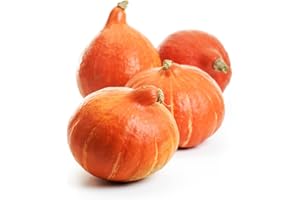 ‎QUAST MEERRETTICH Hokkaido Kürbis | Frischer Hokkaido-Kürbis - Sorte Hokkaido (2 KG)