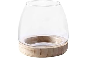 TITA-DONG Glas-Fischglasvase mit Abnehmbarem Holzsockel, Kleine Desktop-Glas-Fischglasvase, Hydrokultur-Pflanzen-Terrarium, ökologisches Aquarium, Glas-Blumenvase für Betta-Fische und Goldfische(B)