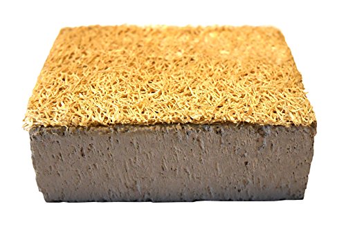 Preisvergleich Produktbild Bimsstein mit Luffa (Naturfasern) für zusätzliches Peeling