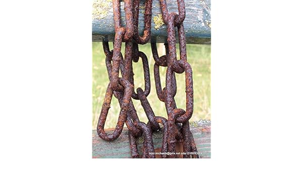 Download Strandball cupcakes dekorationen For iPhone Free Strandball Cupcakes Dekorationen