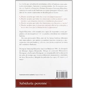 Tu tambien puedes ser budista/ What Makes You Not a Buddist: Descubre Las Claves Del Budismo