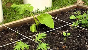 Creative Farmer Natural Fertilizer Vermi Compost for Herbs (1 kg)