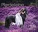 Pferdeliebe 2018 by 