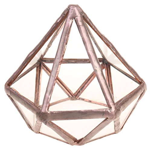 MagiDeal Geometrisches Glas Terrarium Box Glas Sukkulente Pflanzen Pflanzgefäß Deko Diamant Form – S - 7